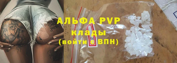 шишки Абаза