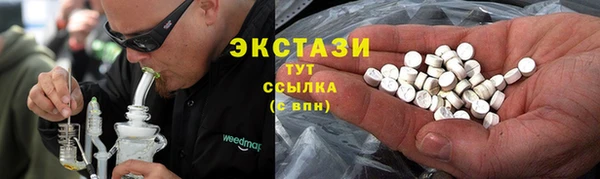 шишки Абаза