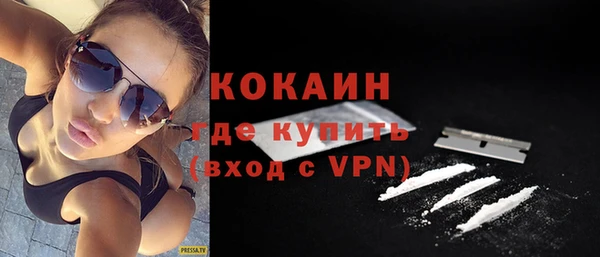 шишки Абаза