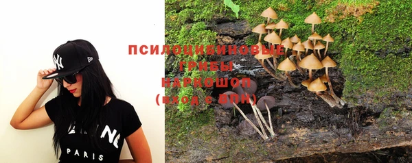 шишки Абаза