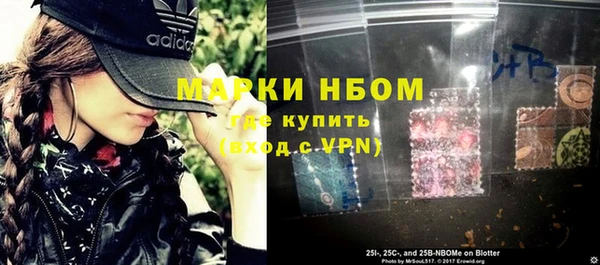 шишки Абаза