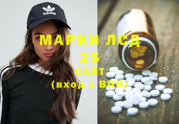 шишки Абаза