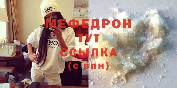 шишки Абаза
