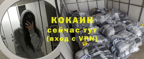 шишки Абаза