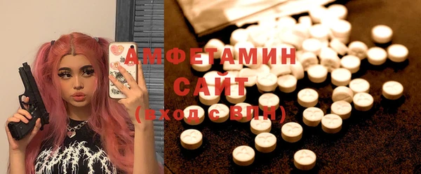 шишки Абаза