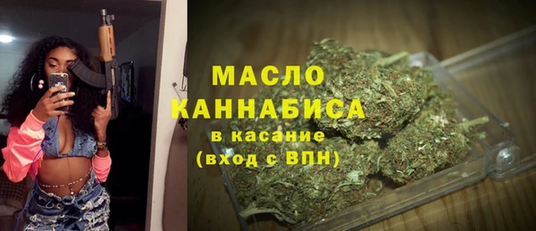 шишки Абаза