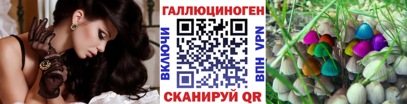 Галлюциногенные грибы GOLDEN TEACHER  Кимовск 